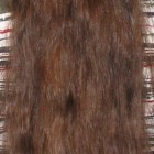 Krátké vlasy dlouhé vlasy